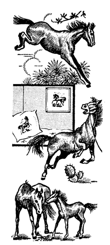 AB7173 Ten Western Horse Designs - Click Image to Close